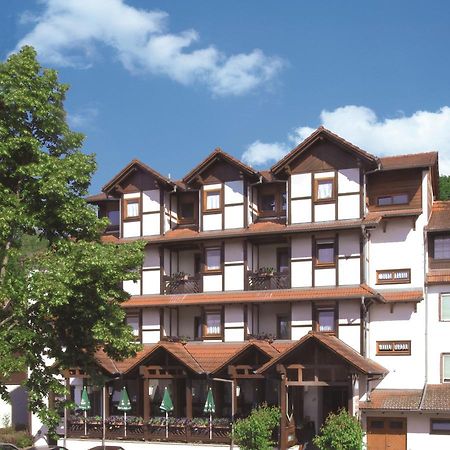 Blick Zum Maimont Hotel Ludwigswinkel Luaran gambar