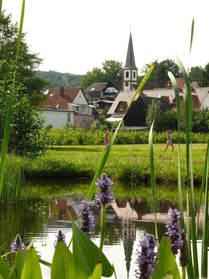 Blick Zum Maimont Hotel Ludwigswinkel Luaran gambar