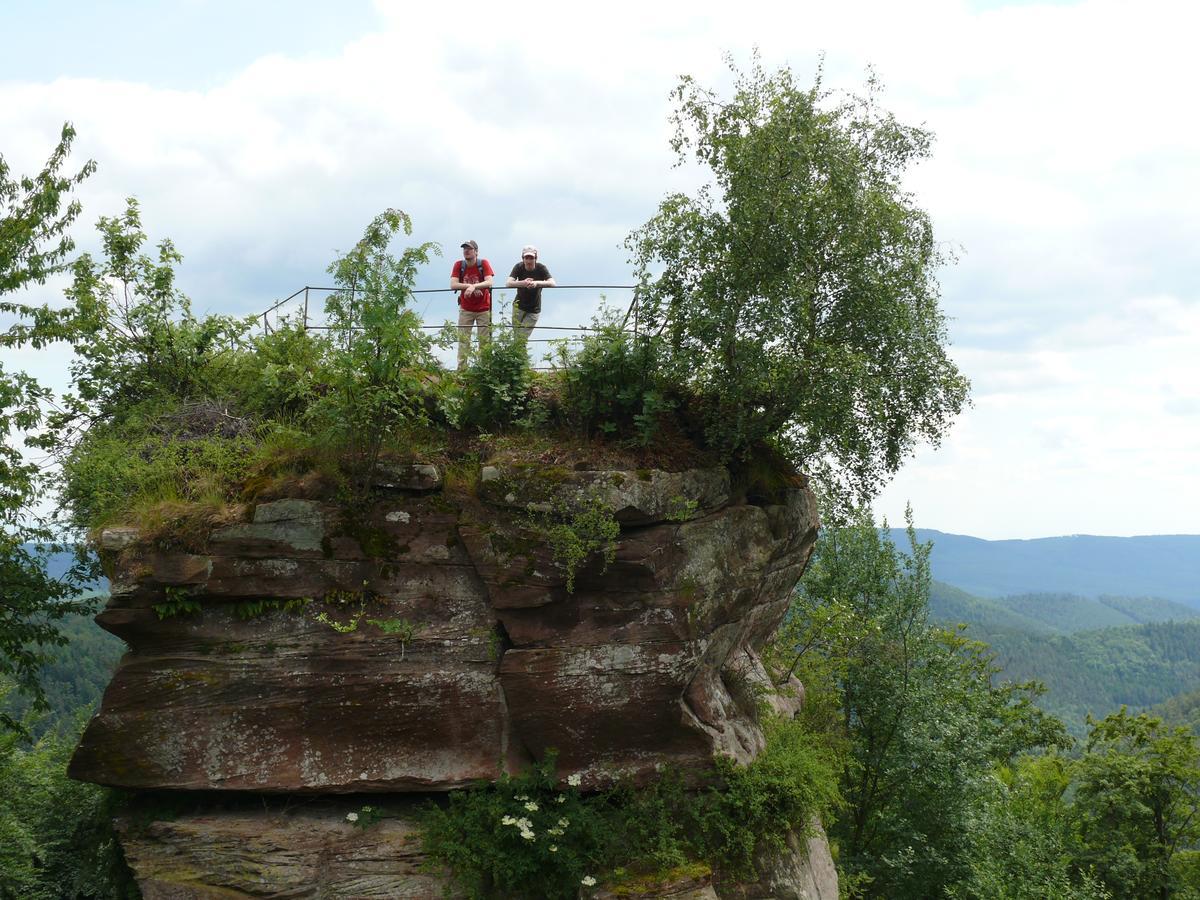 Blick Zum Maimont Hotel Ludwigswinkel Luaran gambar