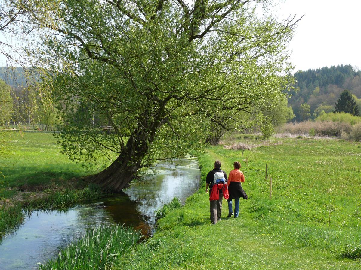 Blick Zum Maimont Hotel Ludwigswinkel Luaran gambar