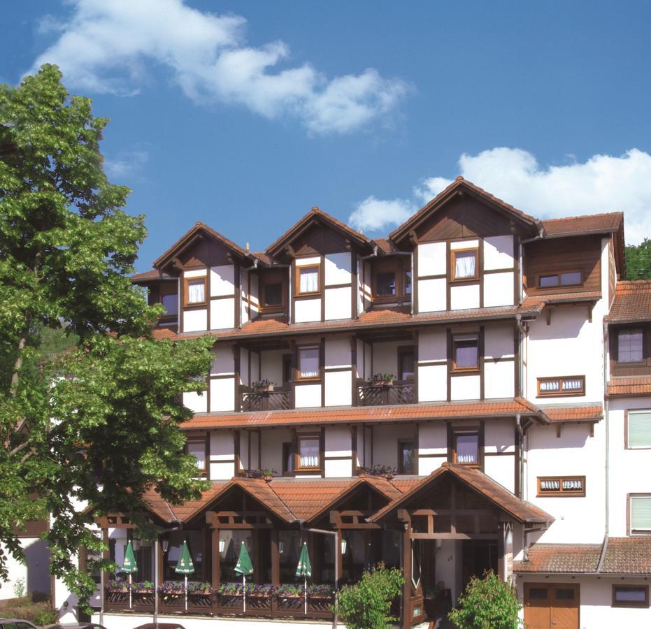 Blick Zum Maimont Hotel Ludwigswinkel Luaran gambar