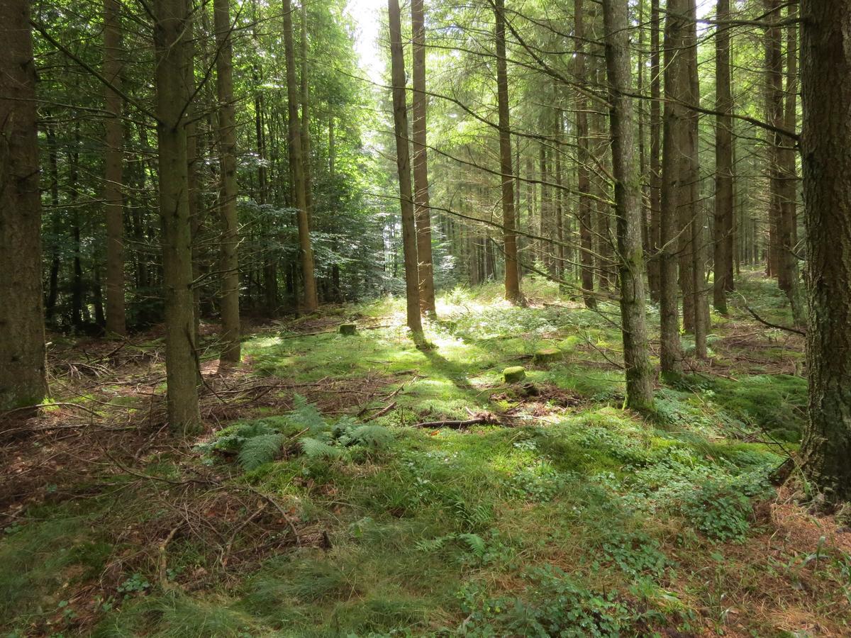 Blick Zum Maimont Hotel Ludwigswinkel Luaran gambar